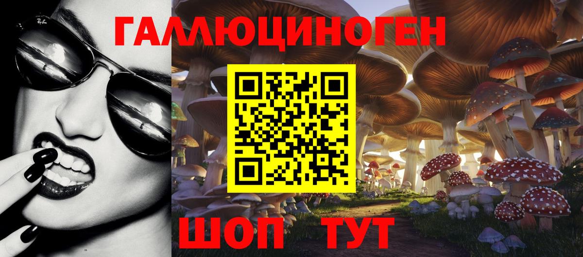 Рассказово  Псилоцибиновые грибы Magic Shrooms  Вход с VPN 