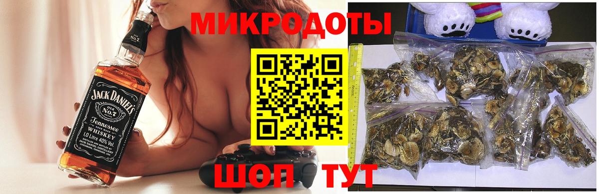 Галлюциногенные грибы Cubensis Рассказово